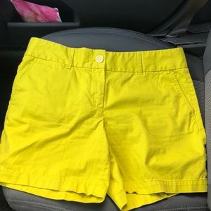 Ann Taylor Loft Riviera Shorts